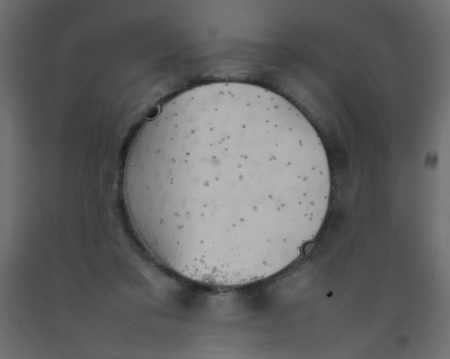 X0000092070309200710101024