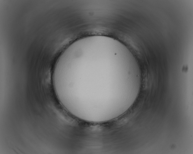 X0000092070310200710101024