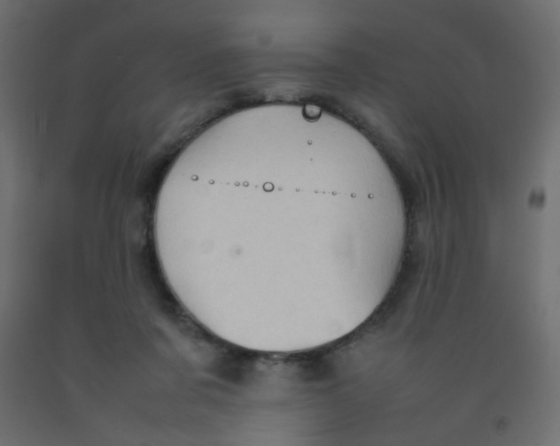 X0000092070311200710101024