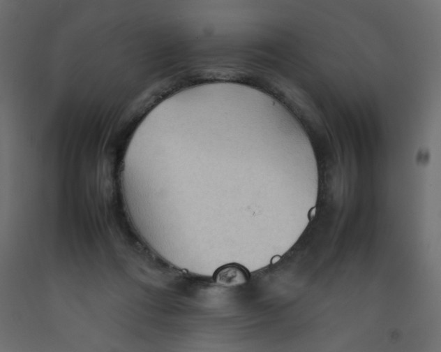 X0000092070312200710101024