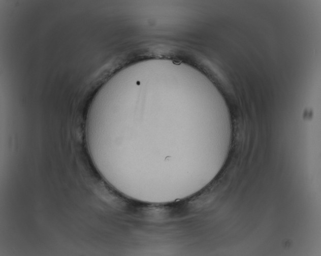 X0000092070313200710101024