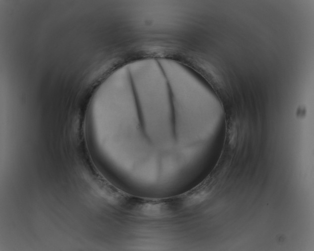 X0000092070314200710101024