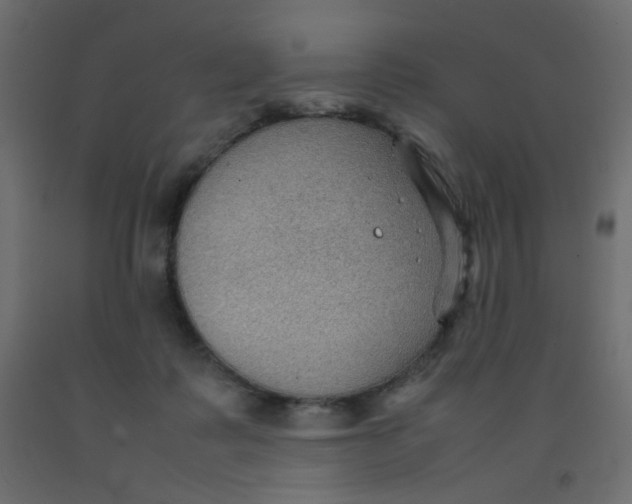 X0000092070315200710101024