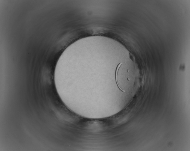X0000092070316200710101024