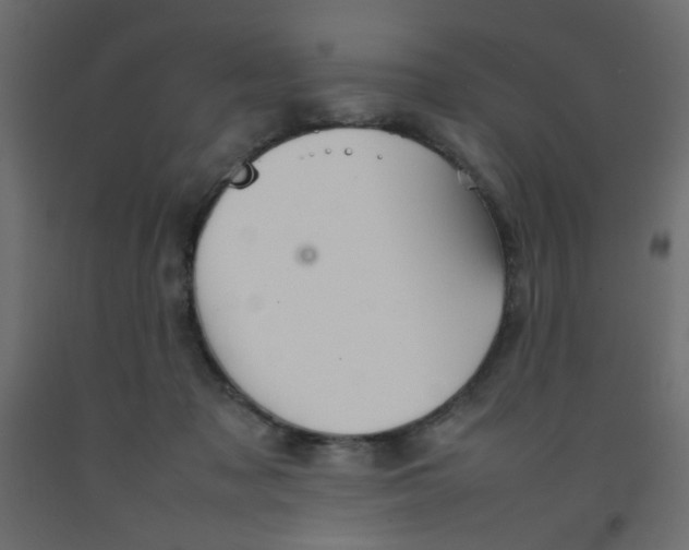 X0000092070317200710101024