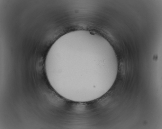 X0000092070318200710101024