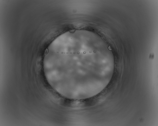 X0000092070319200710101024