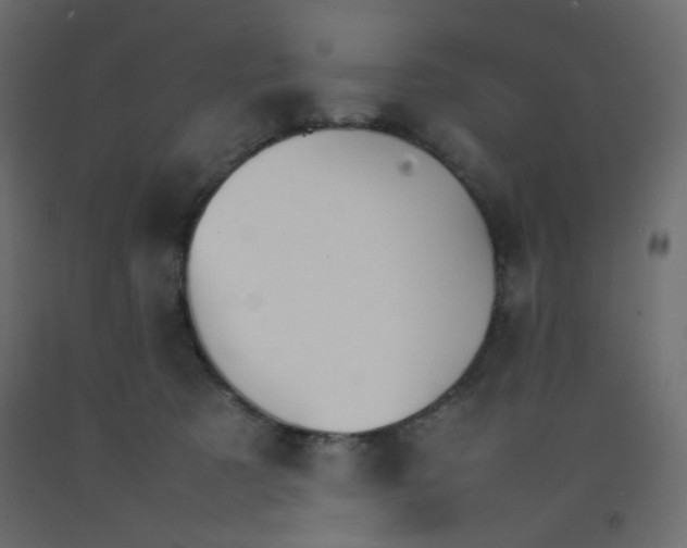 X0000092070321200710101024