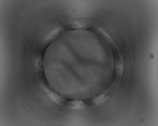 X0000092070322200710101024