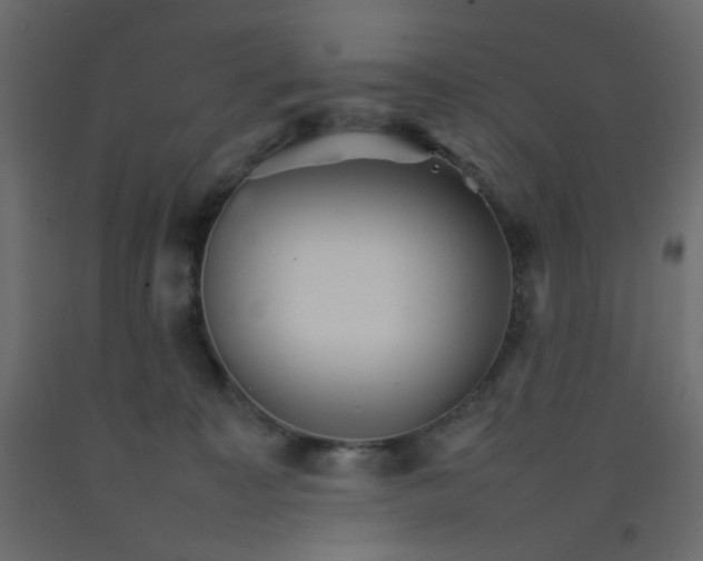 X0000092070323200710101024