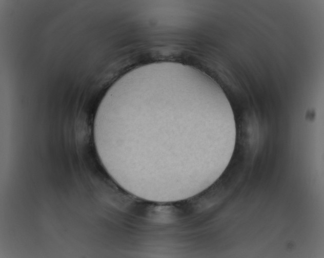 X0000092070324200710101024