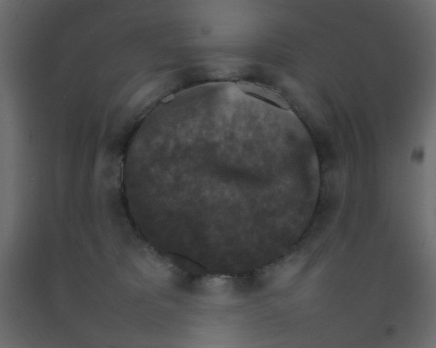 X0000092070325200710101024