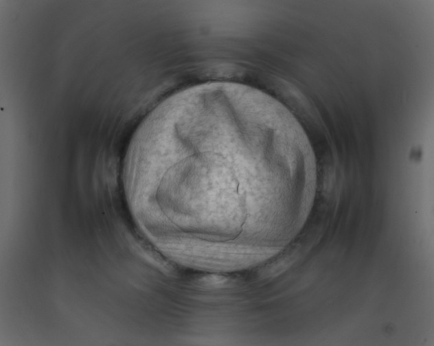 X0000092070326200710101024