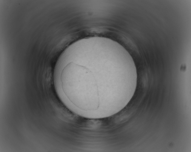 X0000092070328200710101024