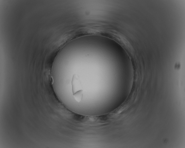 X0000092070329200710101024