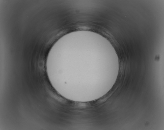 X0000092070330200710101024