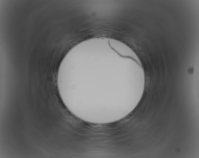 X0000092070331200710101024