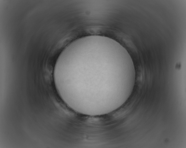 X0000092070332200710101024