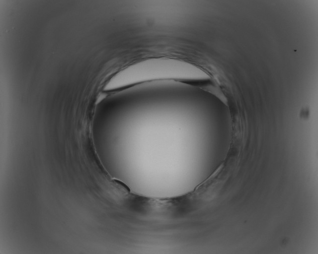 X0000092070333200710101024