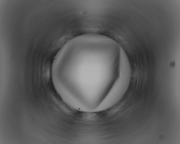 X0000092070334200710101024