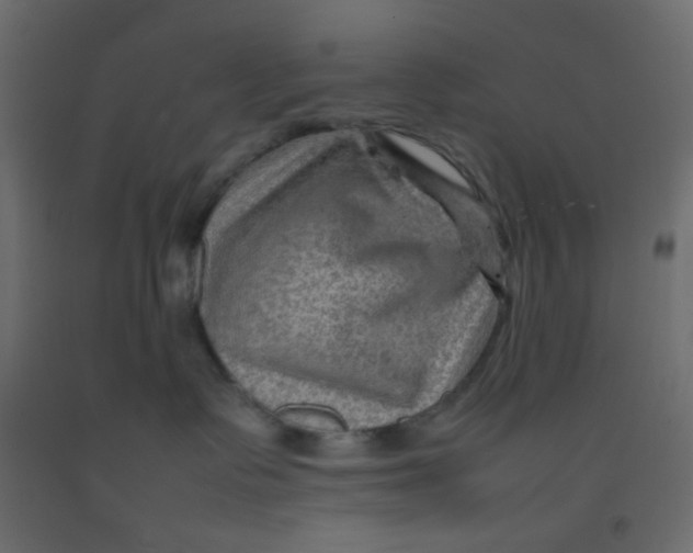 X0000092070335200710101024