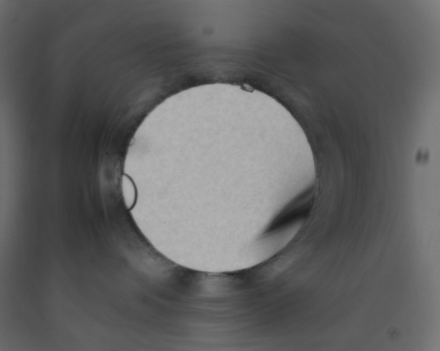 X0000092070336200710101024