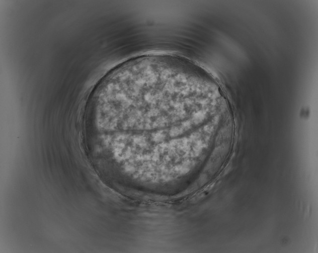 X0000092070337200710101023