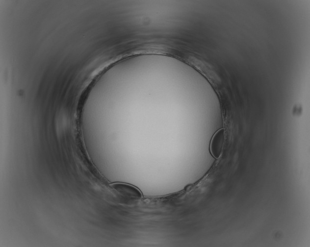 X0000092070338200710101023