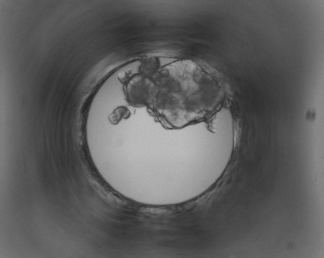 X0000092070339200710101023