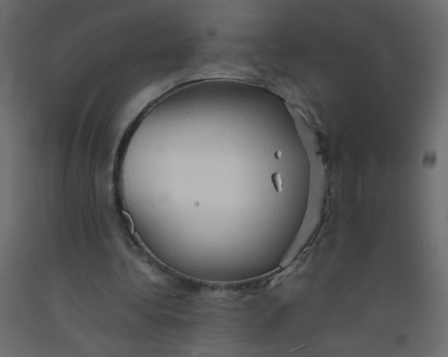 X0000092070340200710101023
