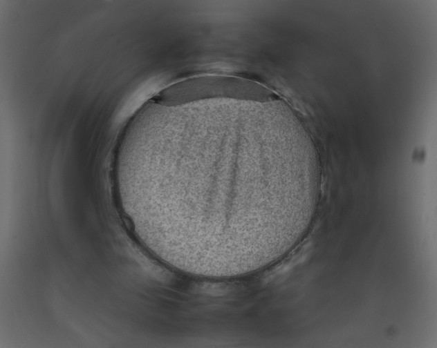 X0000092070341200710101023