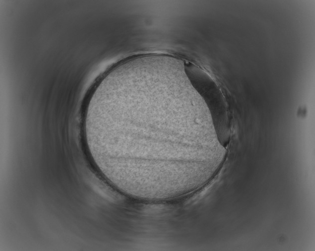 X0000092070342200710101023