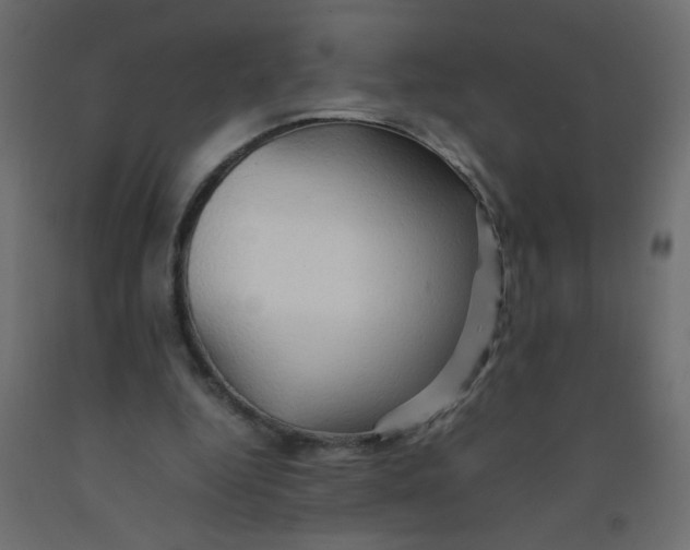 X0000092070344200710101023