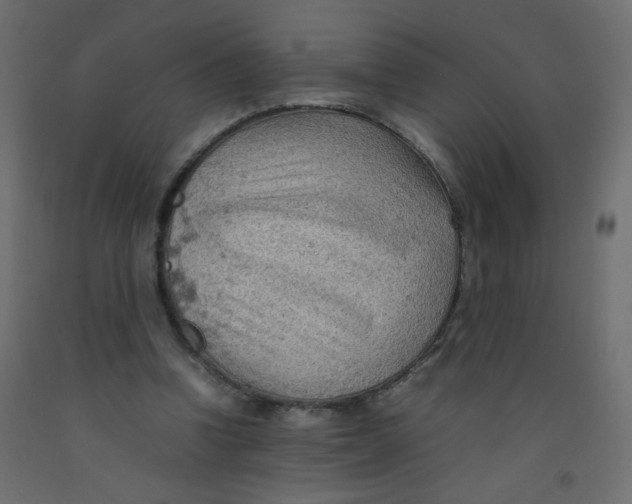 X0000092070346200710101023