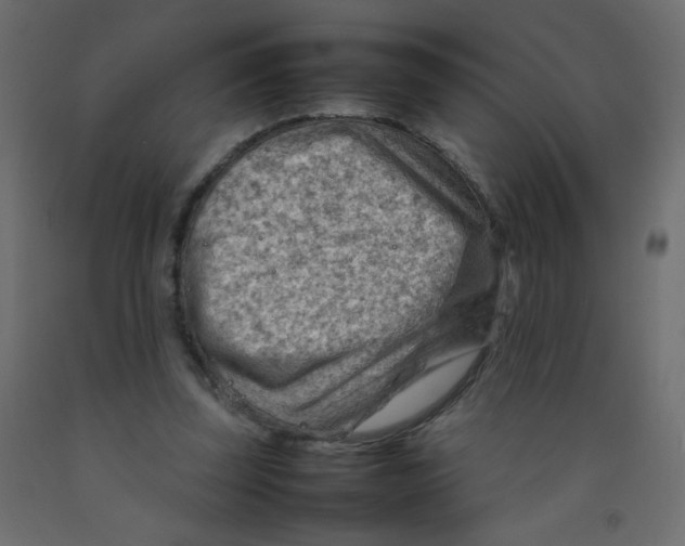 X0000092070347200710101023