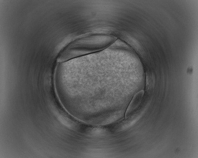 X0000092070348200710101023