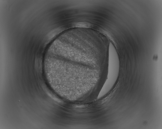 X0000092070349200710101023