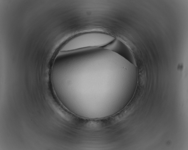X0000092070350200710101023
