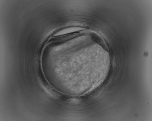 X0000092070352200710101024