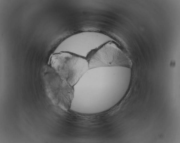 X0000092070353200710101024