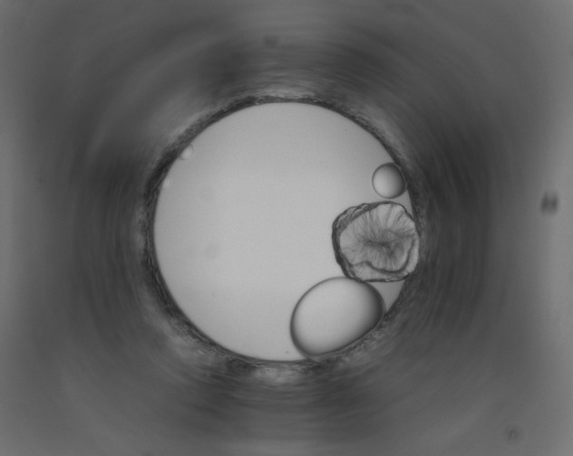 X0000092070354200710101024