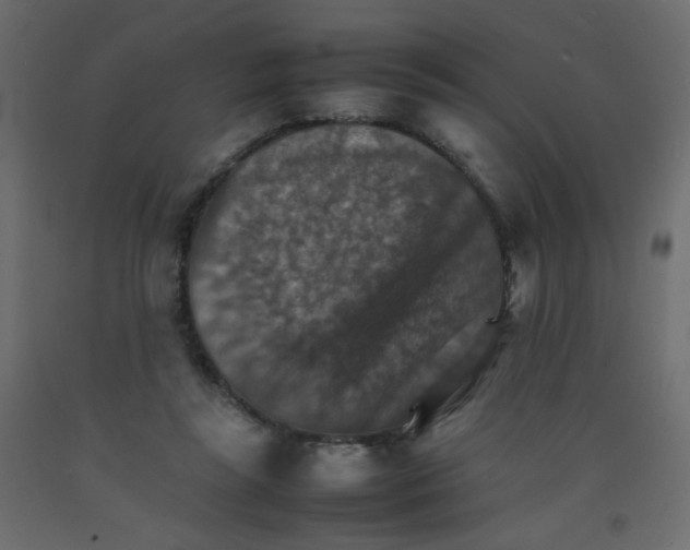 X0000092070355200710101024