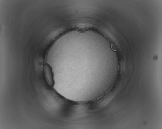 X0000092070356200710101024