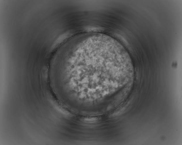 X0000092070357200710101024