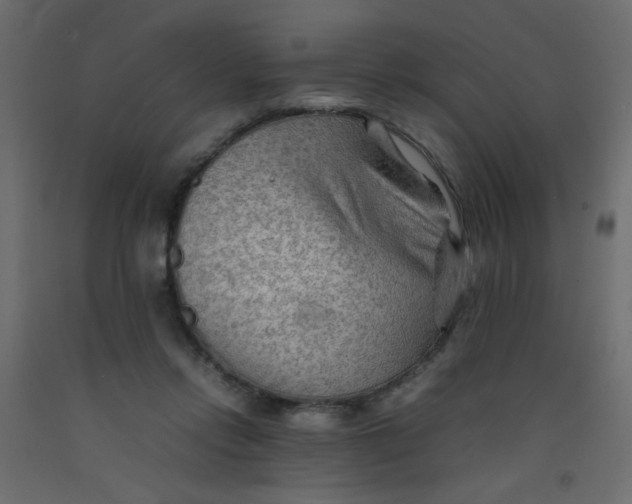 X0000092070358200710101024