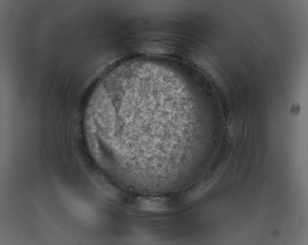 X0000092070359200710101024