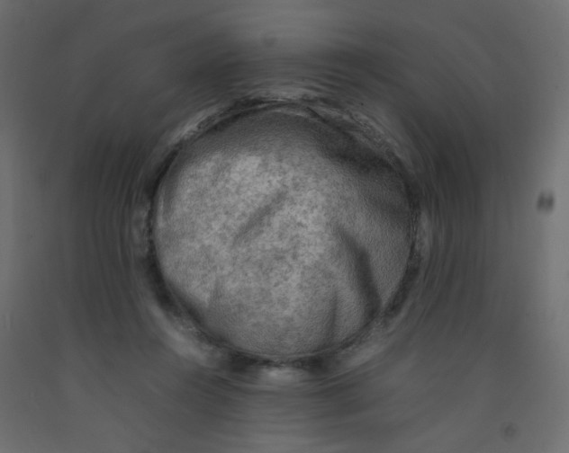 X0000092070360200710101024
