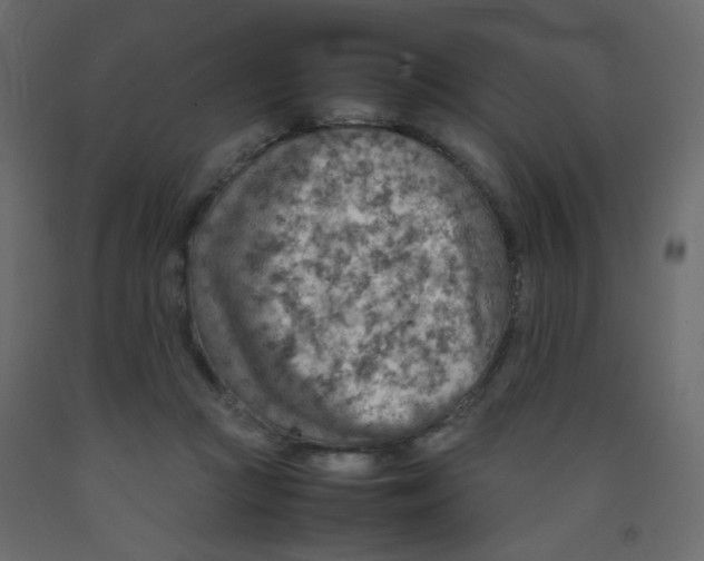 X0000092070361200710101024