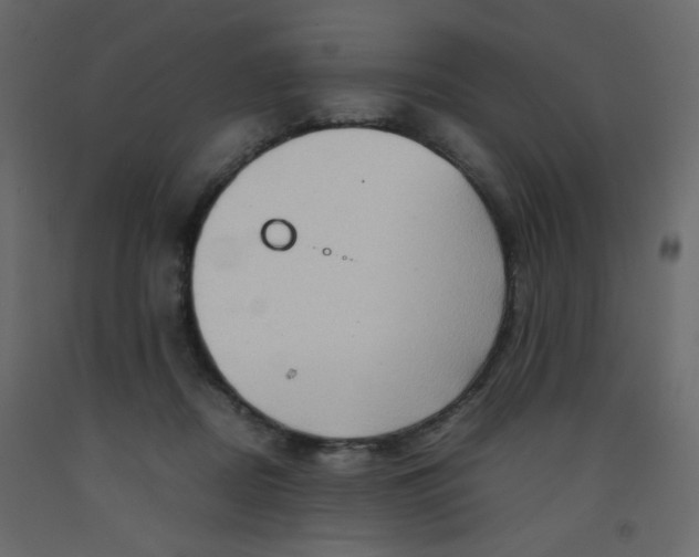 X0000092070362200710101024