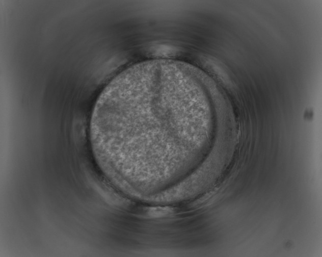 X0000092070363200710101024